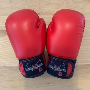 Ilovekickboxing Gloves With Bag